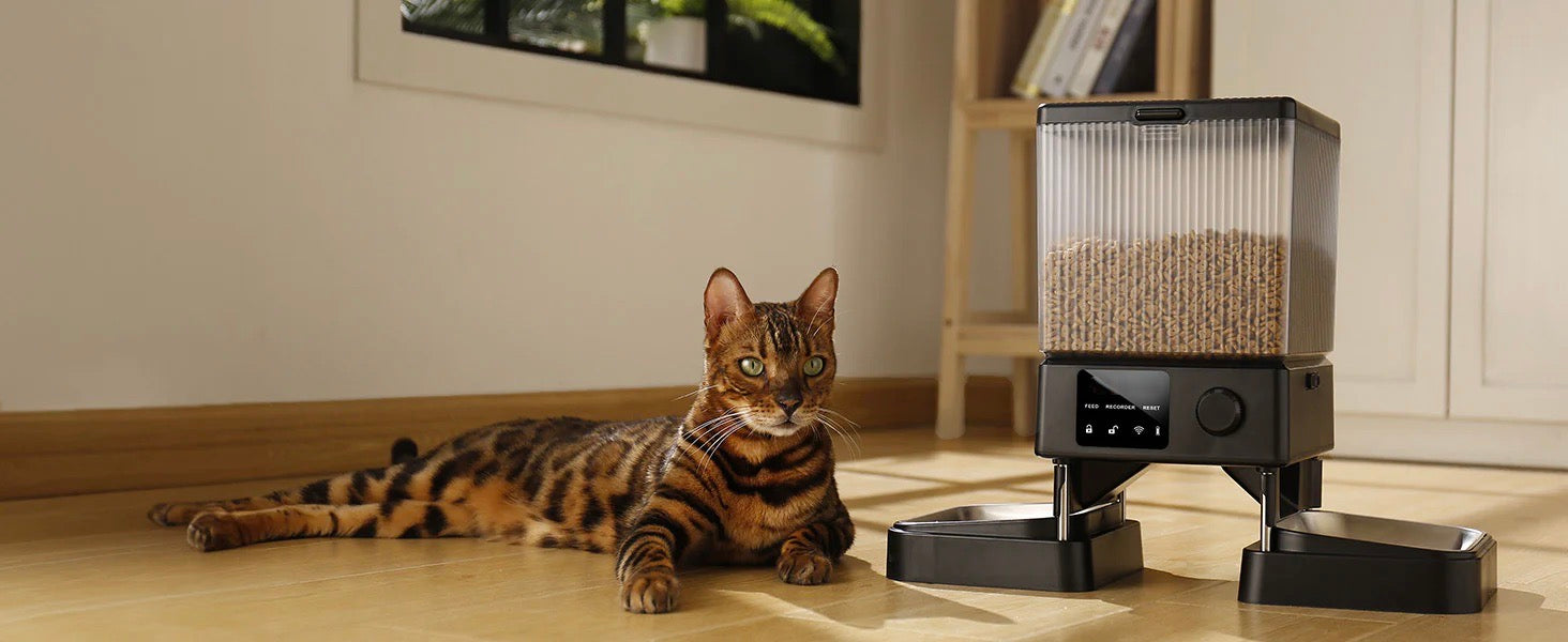 Dual-Pet Smart Feeder with 5L capacity and cats eating