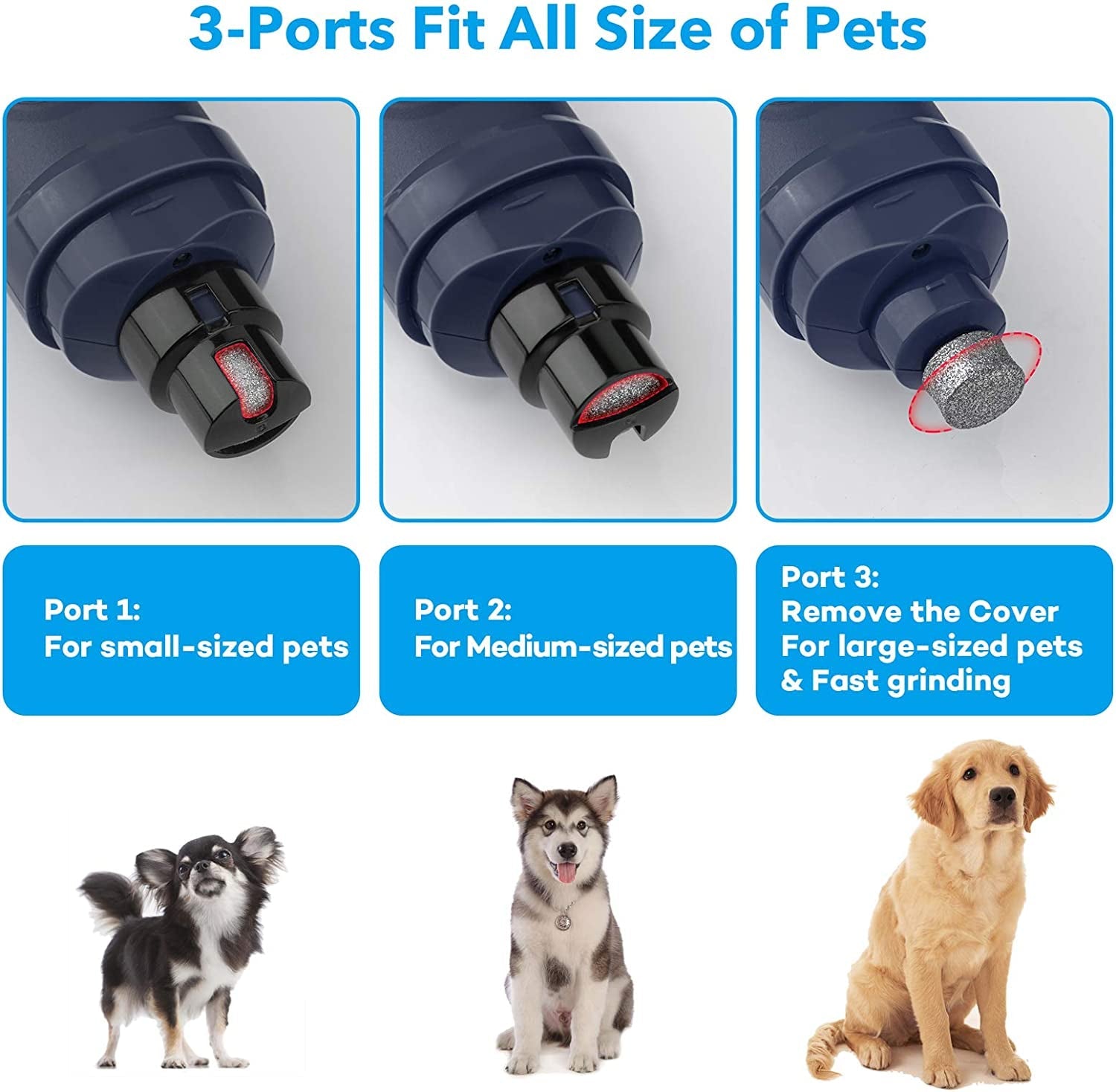 Grinding Ports of Pet Nail Grinder