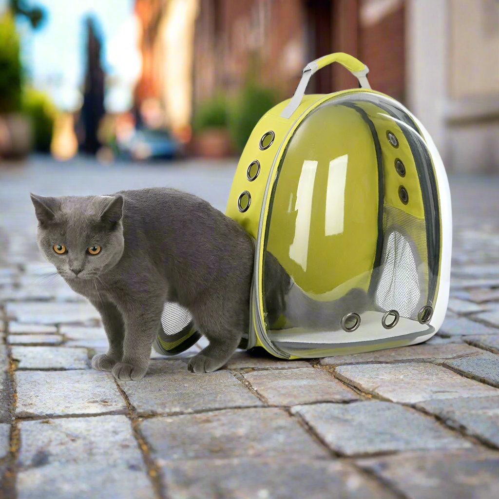 Transparent Front on Lemon Yellow Pet Carrier