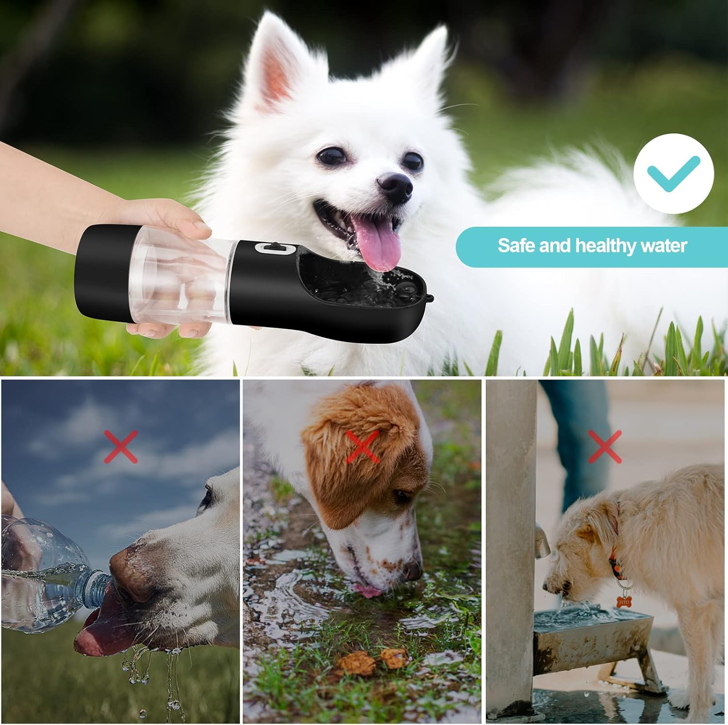 Dog drinking from a portable water bottle with text 'Safe and healthy water' on a grassy background.