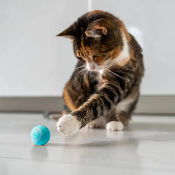 LED Lights on Smart Pet Toy