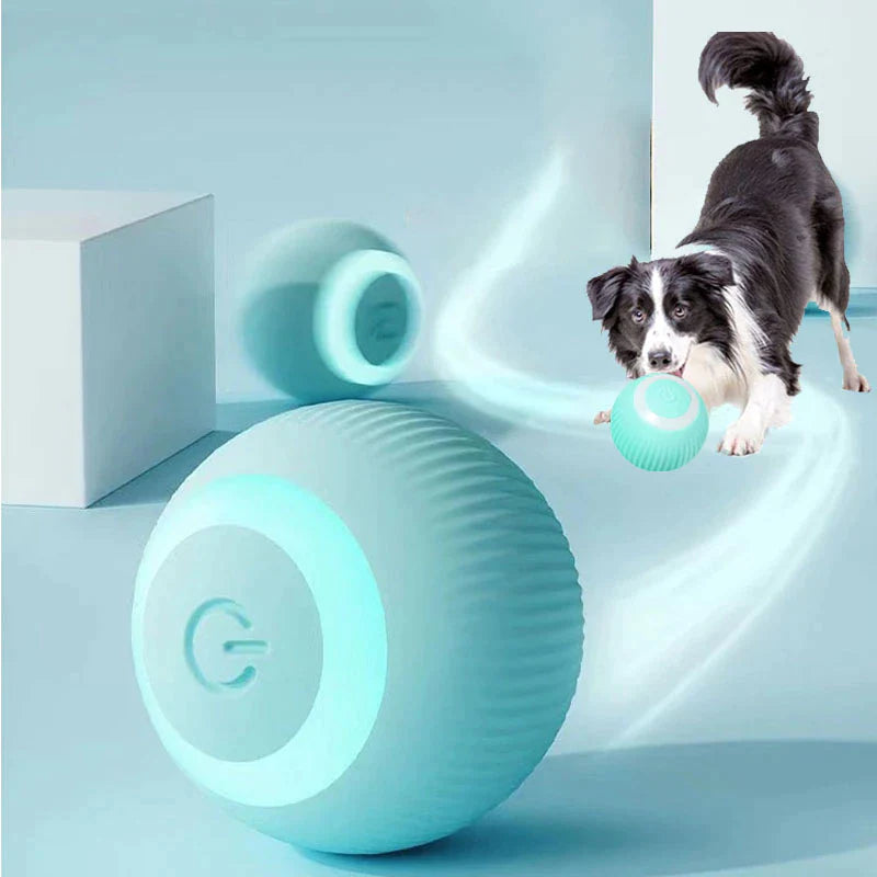 360° Movement of Smart Pet Ball