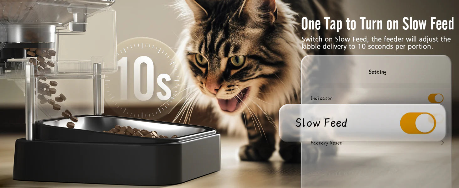 Smart Feeder control panel with Wi-Fi 5G app connectivity