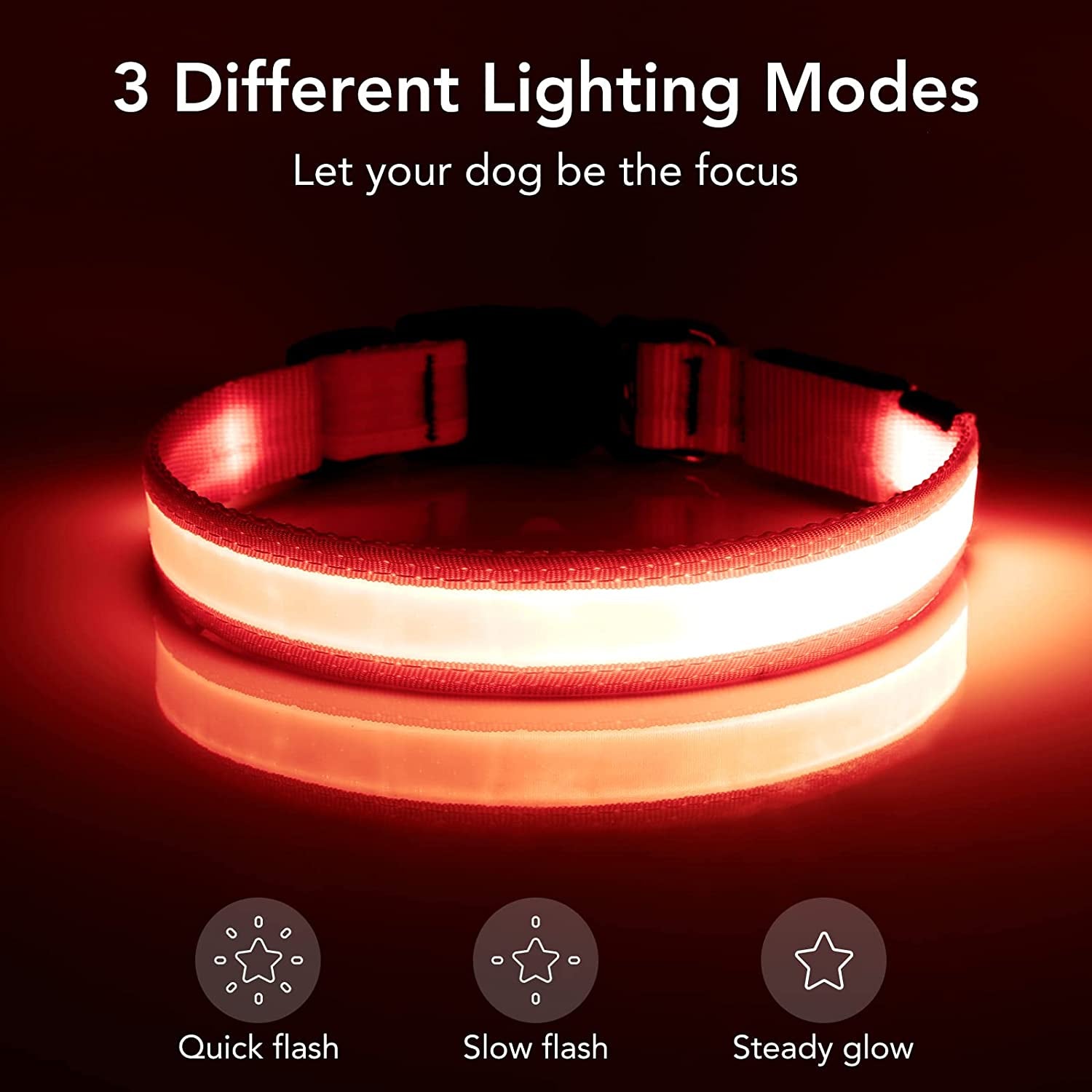 LED Dog Collar with steady light mode at night