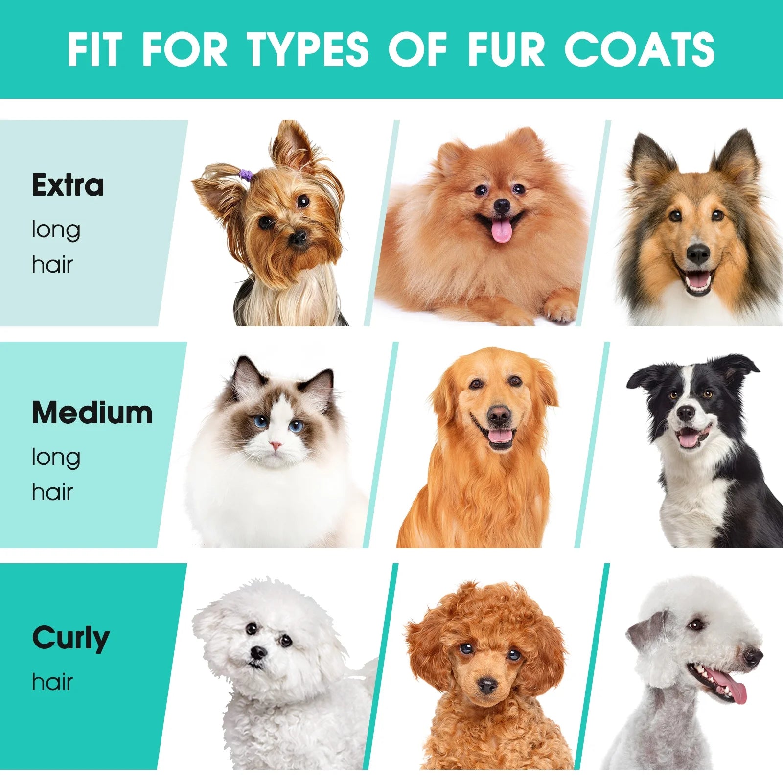 Dog groomed with All-in-One Grooming & Vacuum Kit