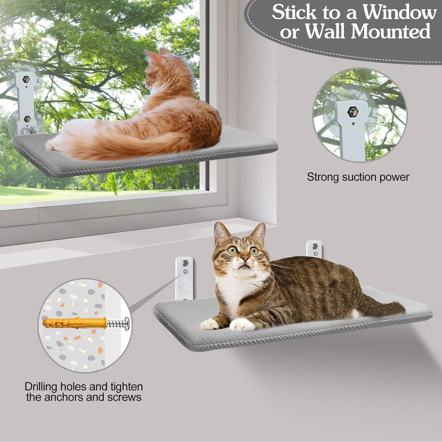 Suction Cups on Cat Window Perch