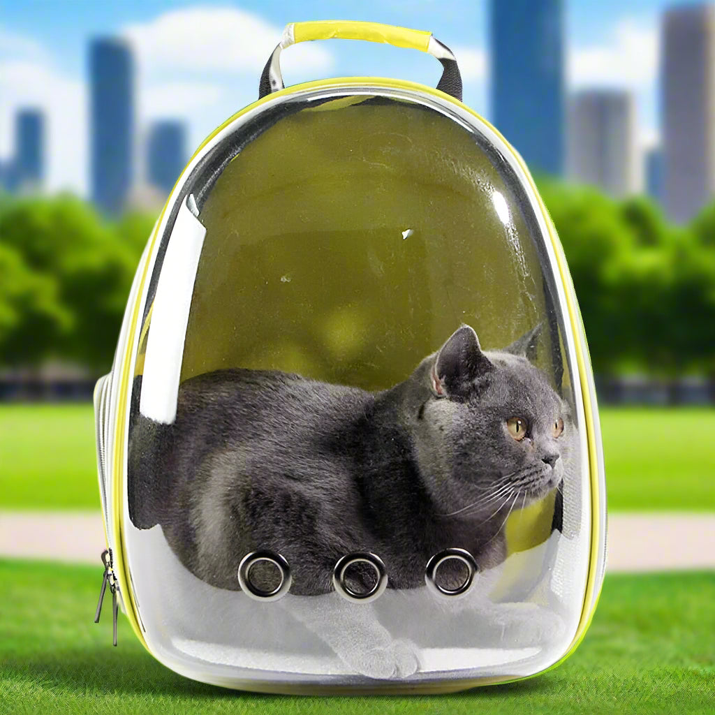 Transparent Front on Lemon Yellow Pet Carrier