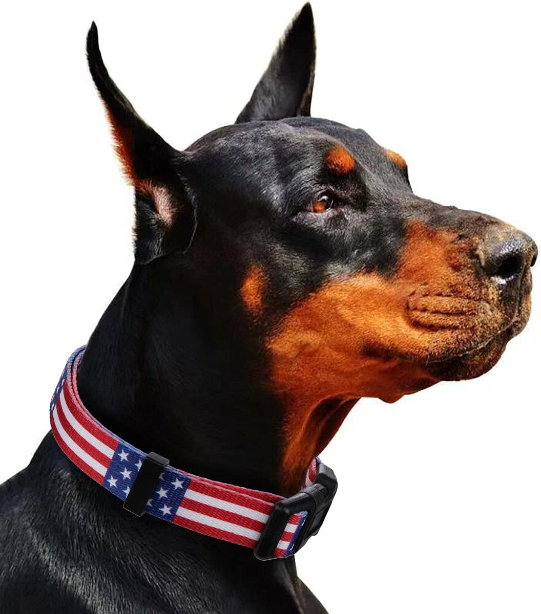 Dog with Patriotic American Flag Collar