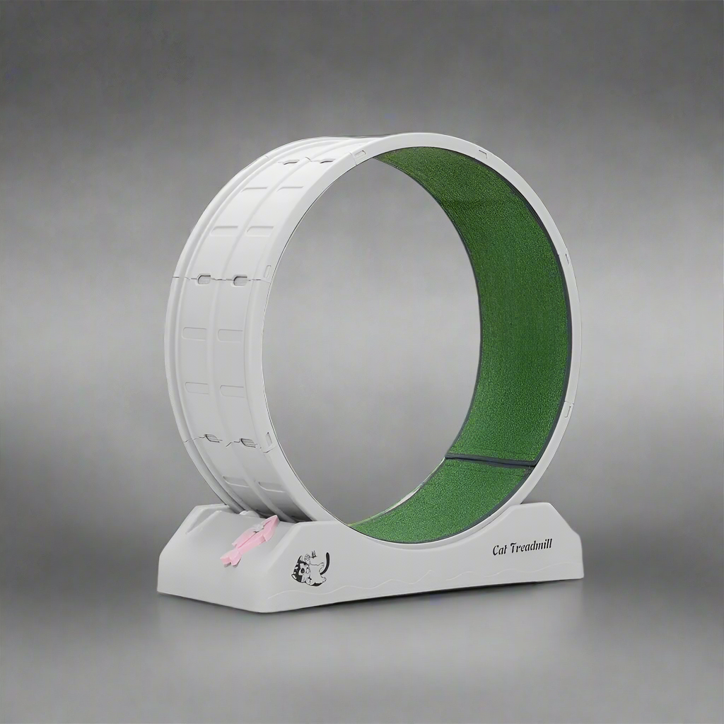 Silent Cat Treadmill Wheel for Indoor Use