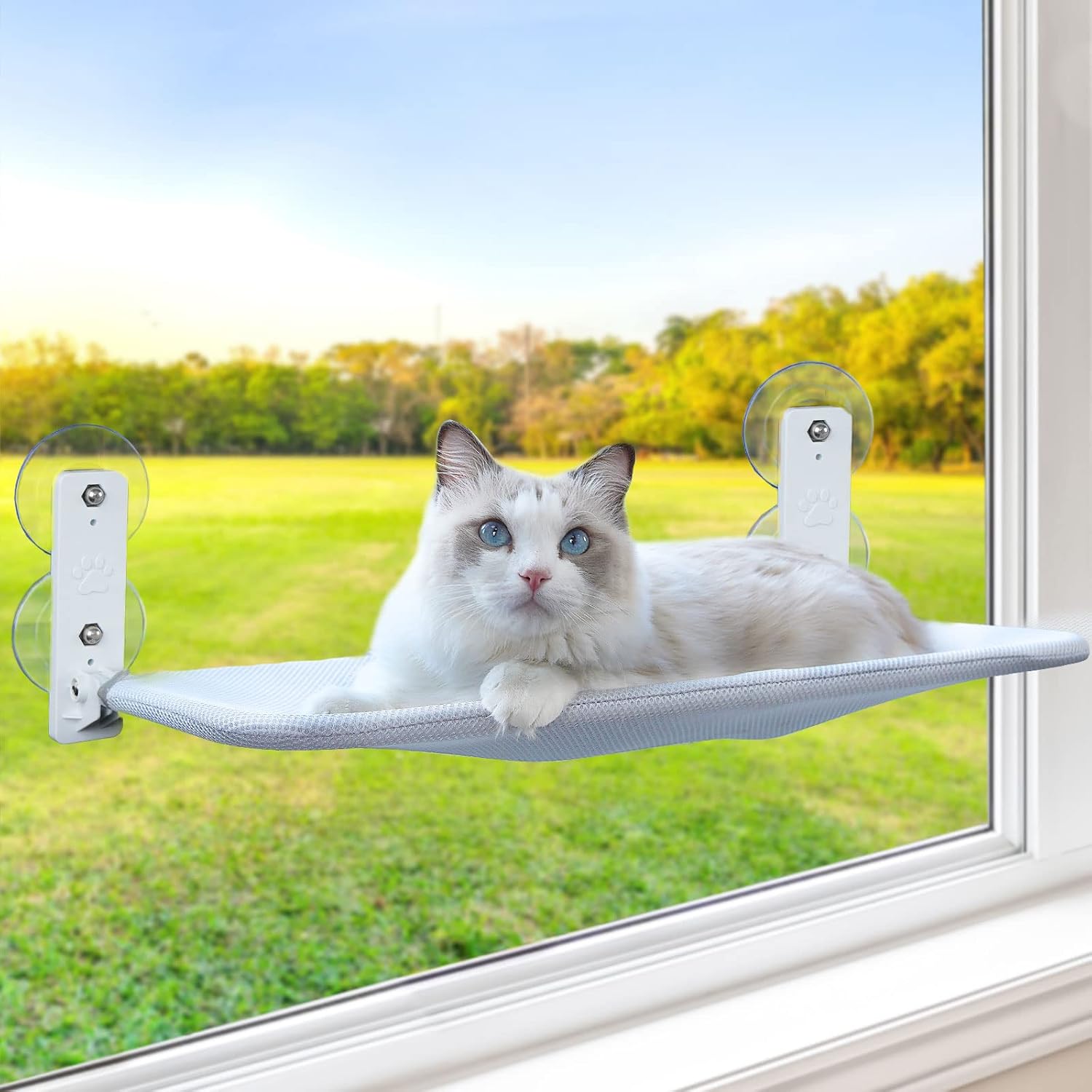 Foldable Cat Window Perch