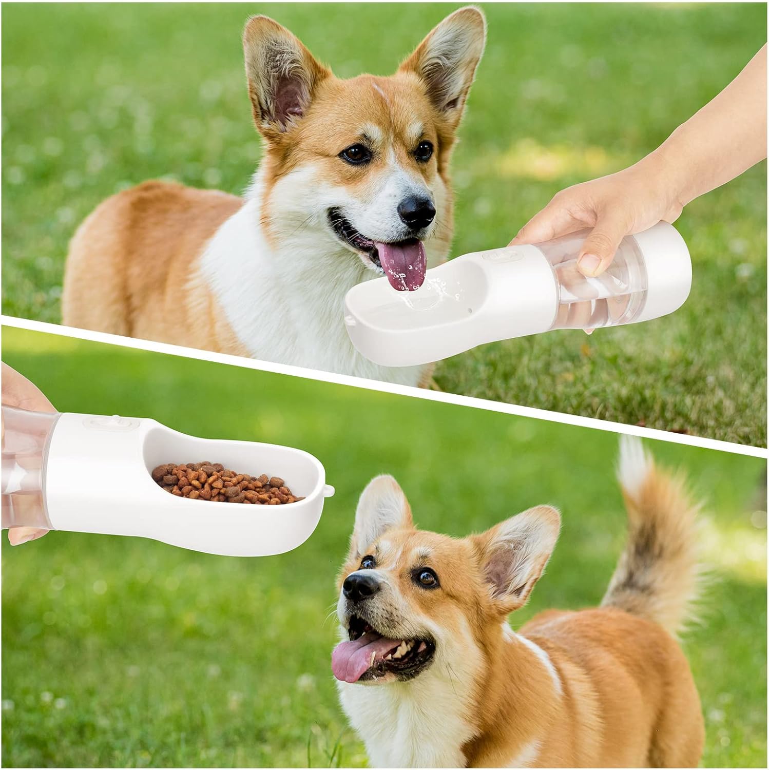 Portable Dog Water and Food Dispenser - dog drinking clean water vs dirty spots.