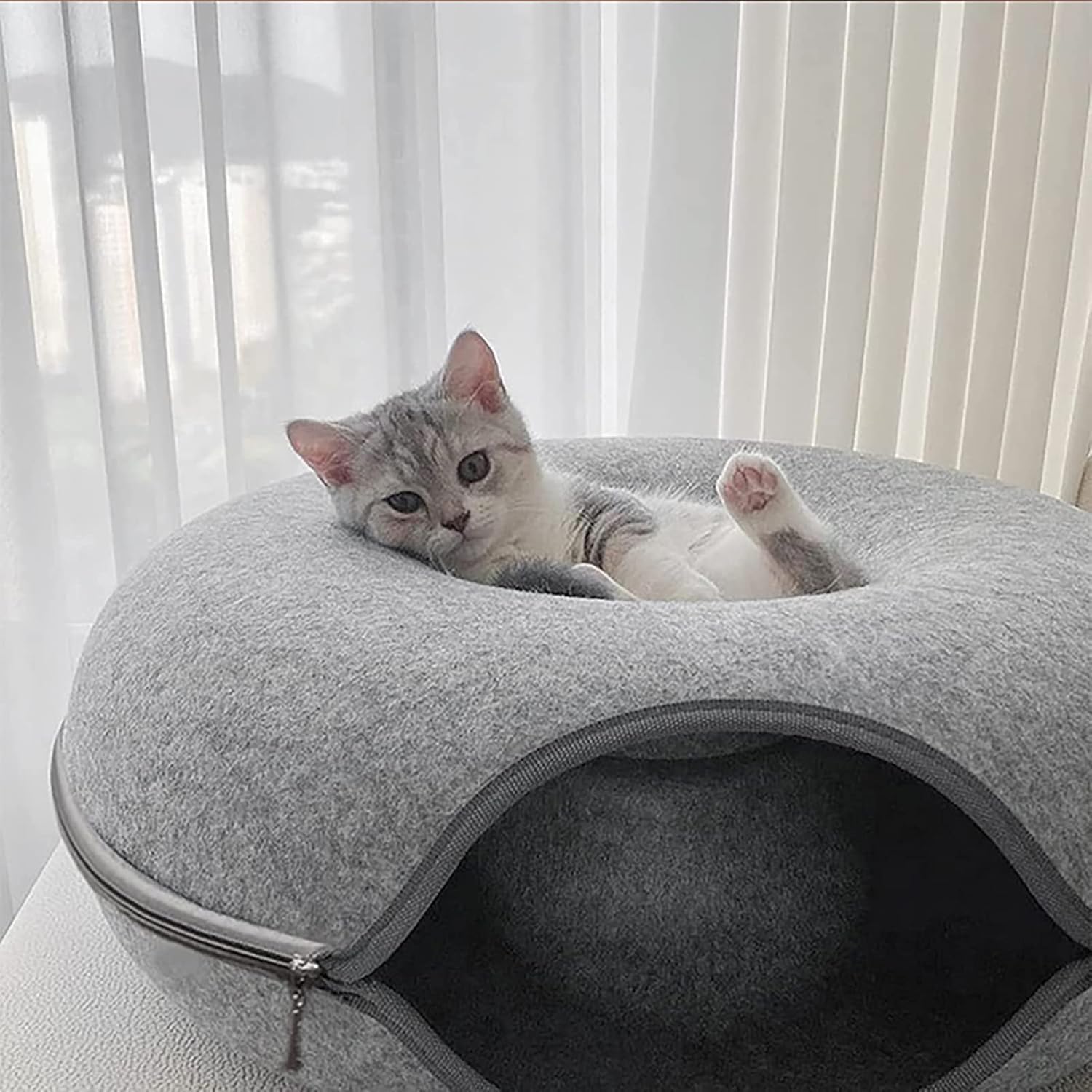 Donut Tunnel Cat Bed: Cozy Haven & Play Zone