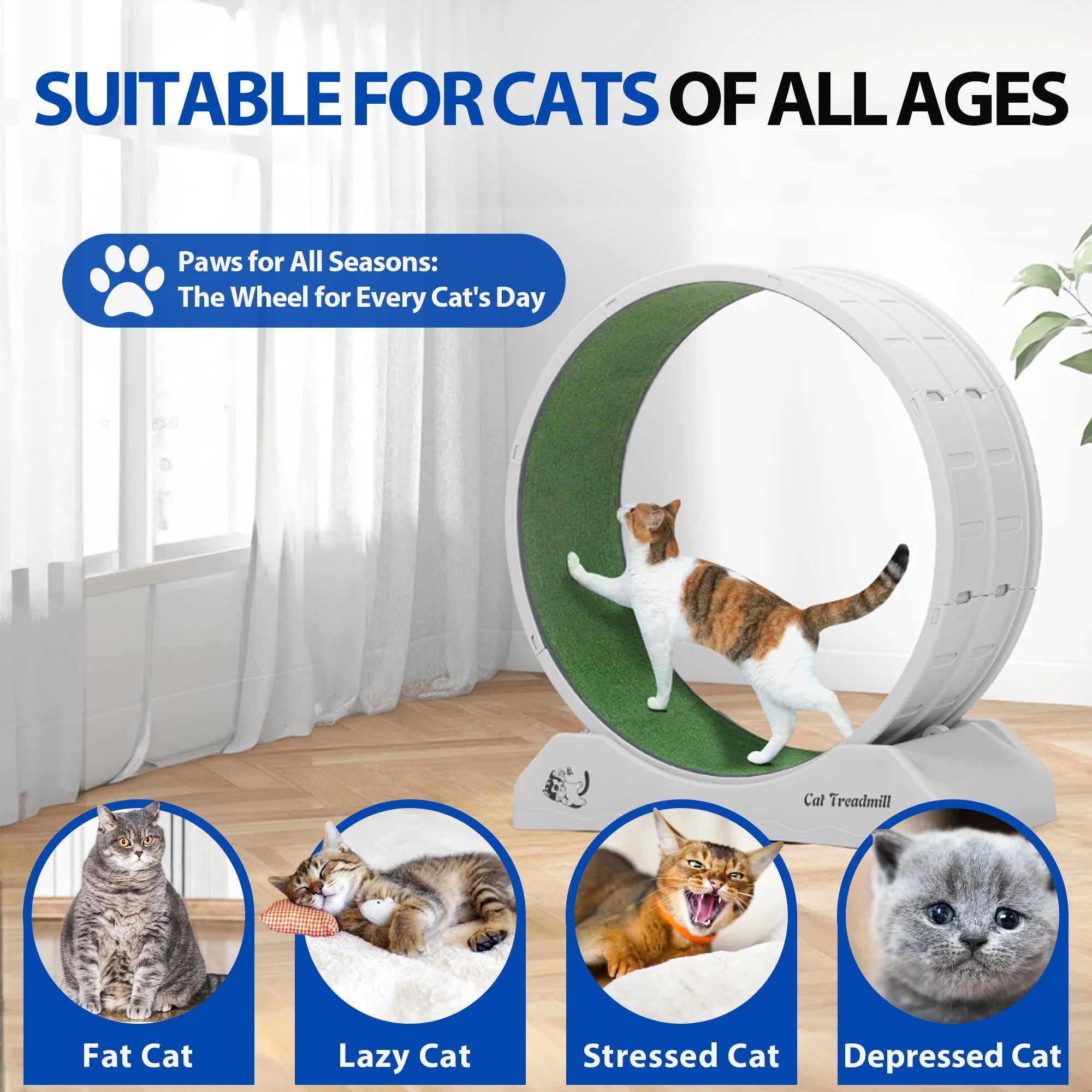 Cat Treadmill Wheel for Indoor Use