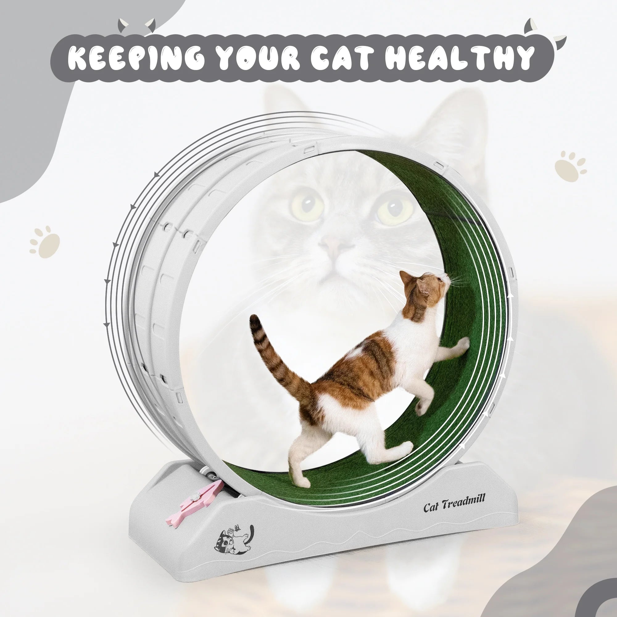Cat Treadmill Wheel for Indoor Use