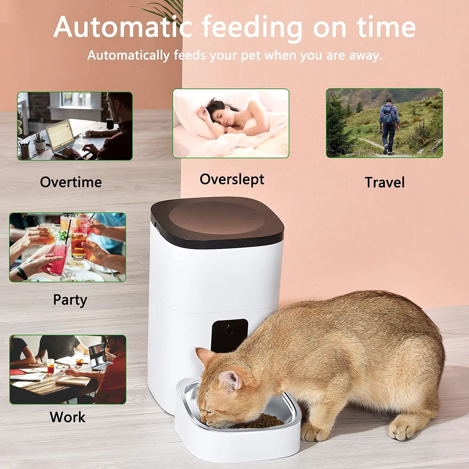 Smart Pet Feeder with 6L capacity