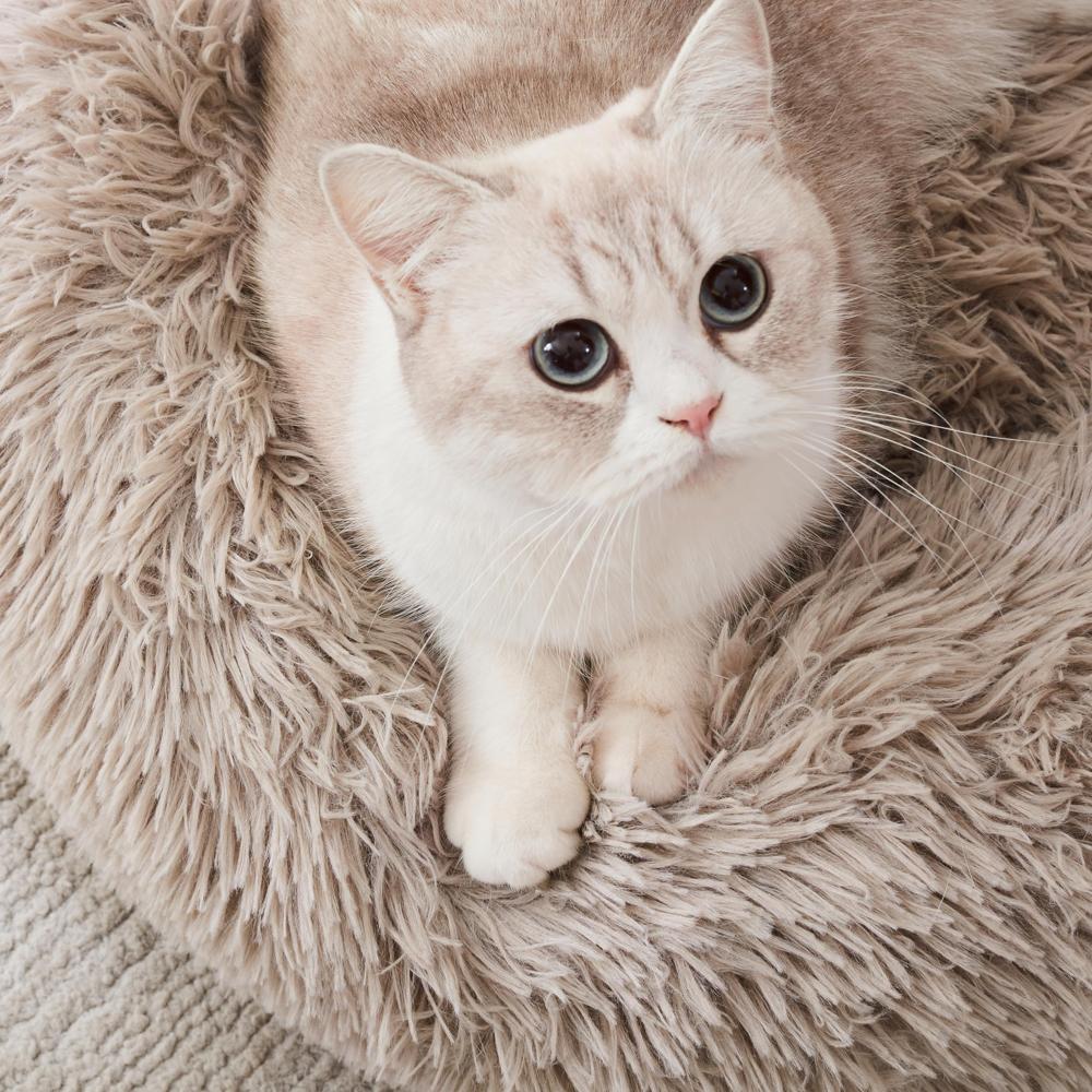 Cozy Plush Donut Bed for Cats up to 15 lbs