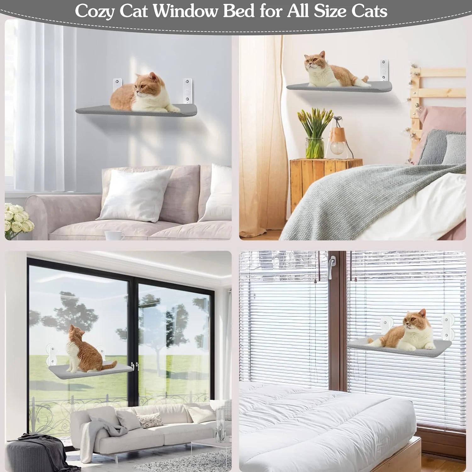 Cat Resting on Foldable Window Perch