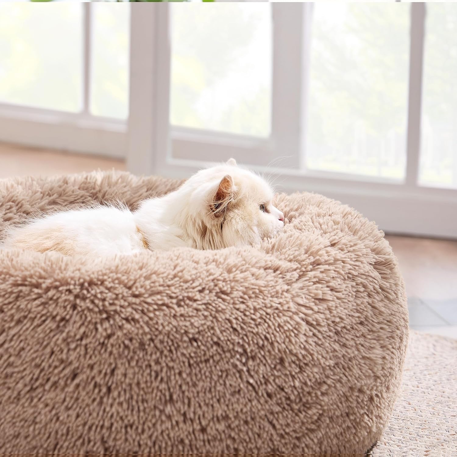 Cozy Plush Donut Bed for Cats up to 15 lbs