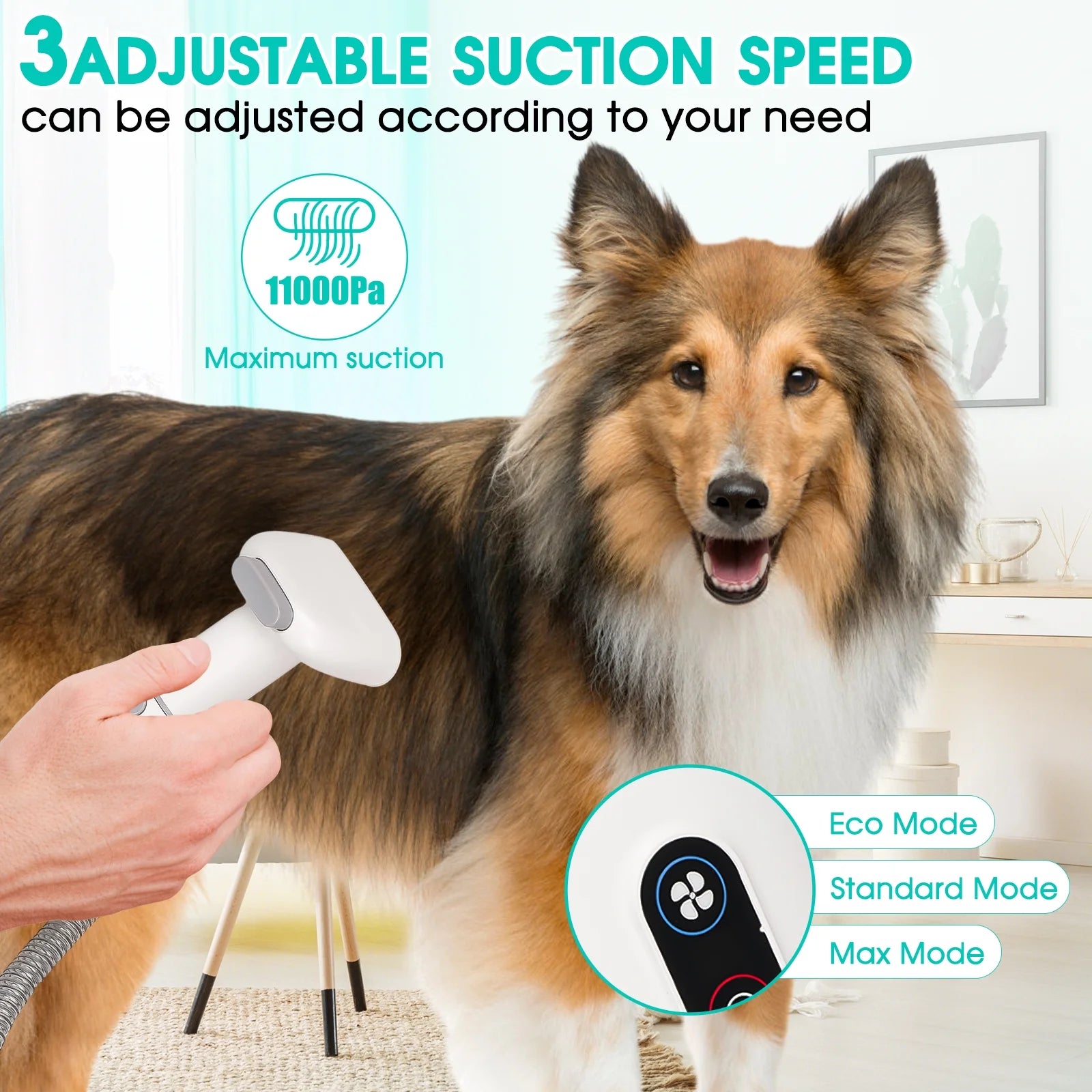 Dog groomed with All-in-One Grooming & Vacuum Kit