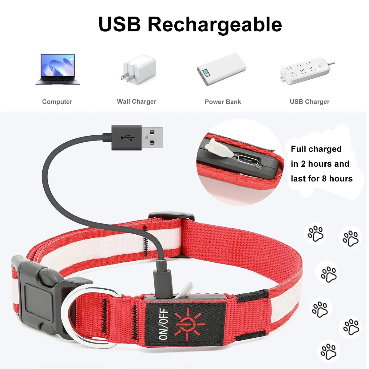 USB Rechargeable LED Dog Collar