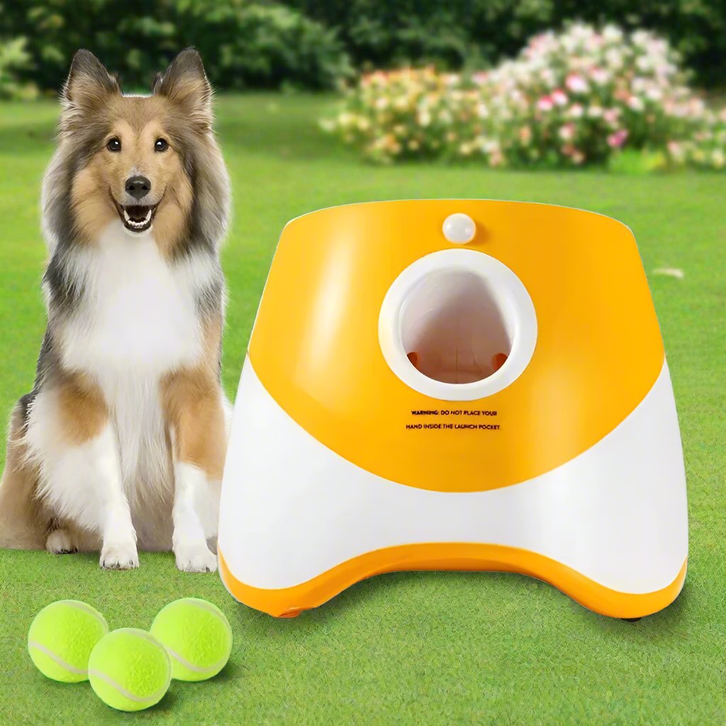 Soft Tennis Balls for Safe Dog Play