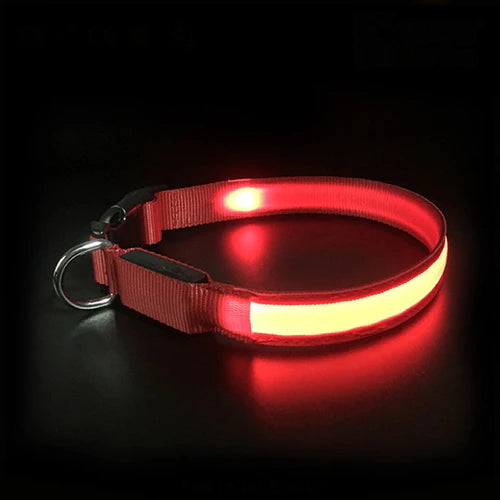 Bright LED Dog Collar for small and medium dogs