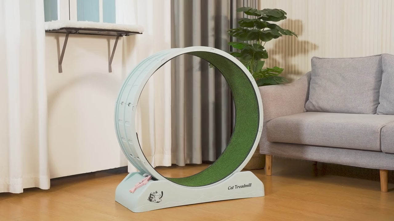 Easy Assembly of Cat Treadmill Wheel
